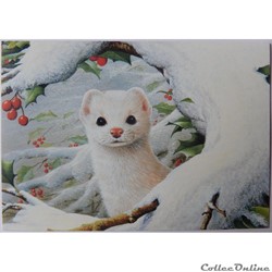 CP Animaux, Hermine