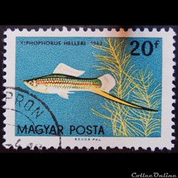 Hongrie 01495 Poisson tropical 20f de 1962