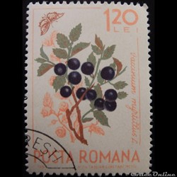 Roumanie 02088 Myrtille et papillon 1.20 Lei de 1964