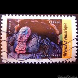 AA01389 Dindon Bronzé d'Amérique lettre verte de 2017