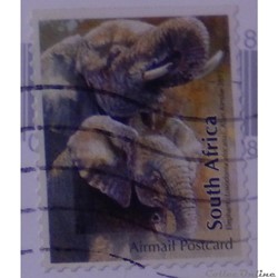 Afrique du Sud 02190 Eléphants Airmail Postcard de 2012