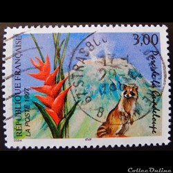03055 Parc de la Guadeloupe Le volcan de la soufrière, le raton laveur et le balisier 3F