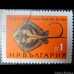 Bulgarie 01328 raie pastenague 1CT de 1965