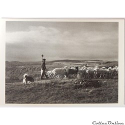 CP du Cantal, le Plomb du Cantal