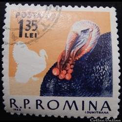Roumanie 01914 Dindon mâle 1.35 Lei de 1963