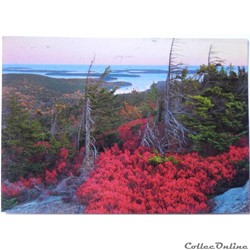 CP des Etats-Unis, Maine, Northeast Harbor