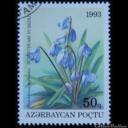 Azerbaïdjan 1993 Fleur 50q