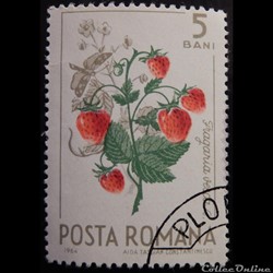 Roumanie 02084 Fraise des bois et papillon 5 Bani de 1964