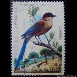 Espagne 01790 Pie bleue à calotte noire 5Ptas de 1973