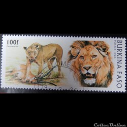 Burkina Faso 00999 Lions 100f de 1996