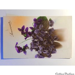 CPA de souvenir avec bouquet de violettes.