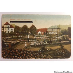 CPA de Saverne, la roseraie, Bas-Rhin