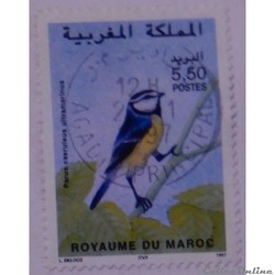 Maroc 01215 oiseau Mésange bleue d'Afrique du Nord 5.50d de 1997