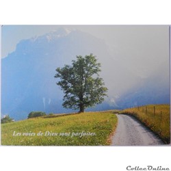 CP Citation biblique, Paysage