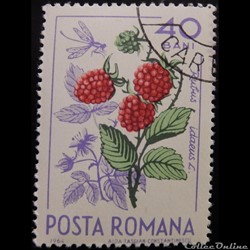 Roumanie 02086 Framboise et libellule 40 Bani de 1964