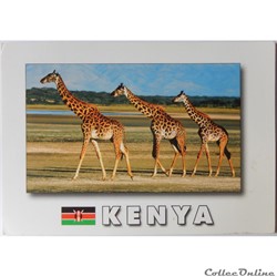 CP du Kenya