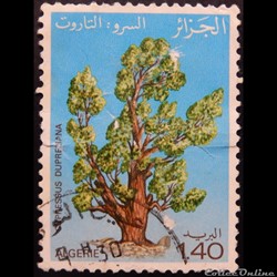 Algérie 00733 Cyprès de Dupré 1.40d de 1981