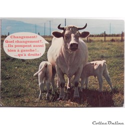 CP humour "vache"