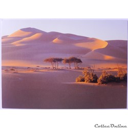 CP de Libye, Fezzan, le Sahara