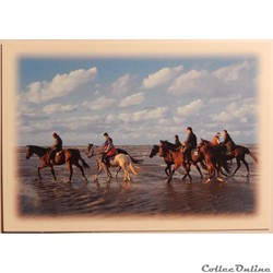 CP Paysage, la mer avec cavaliers
