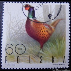 Pologne 01839 Faisan 60Gr de 1970
