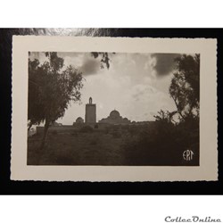 CPA d'Algérie ou photo?