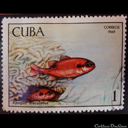 Cuba 01294 poisson Apogon 1c de 1969