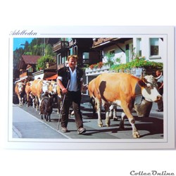 CP de Suisse, Berne, Adelboden