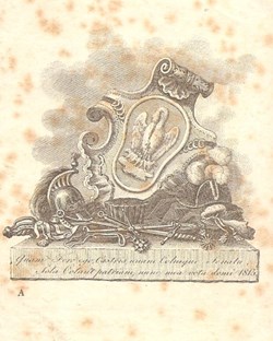 Sans légende (NOURISSON)