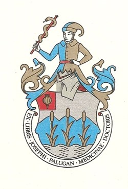 PALUGAN