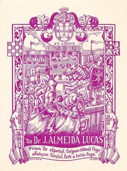 ALMEIDA LUCAS