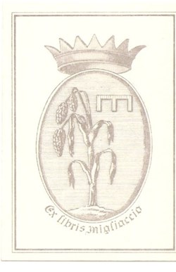 MIGLIACCIO