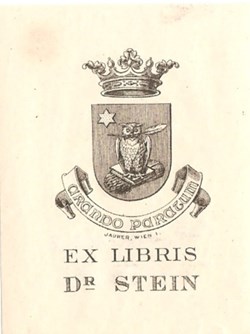 STEIN