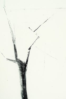 Peinture B