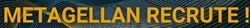 Metagellan recrute