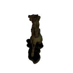 Musée Guimet | L'Asie va vous surprendre