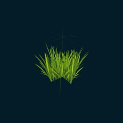 Herbe