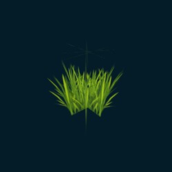 Herbe