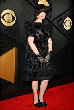 List → Item → Figure → Picture → grammys-2024-all-the-looks-Lana-Del-Rey