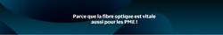 La fibre c'est vitale