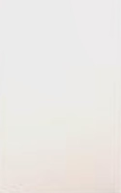 Mur blanc