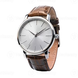 Silver and leather watch model X1
