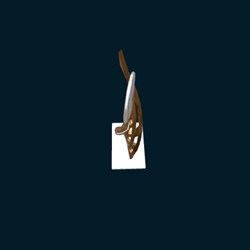Trophy
