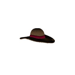 luffy hat test