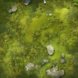grass