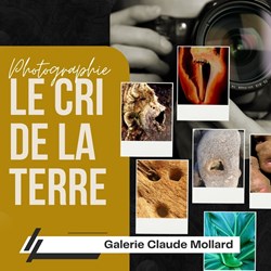 Galerie Claude Mollard