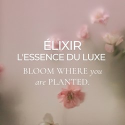 BLOOM
