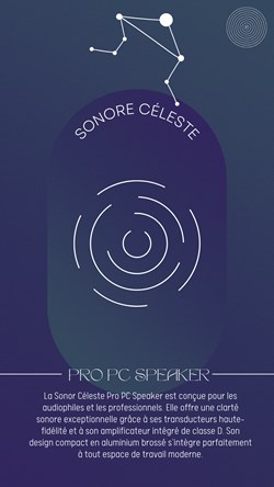 Pro PC speaker