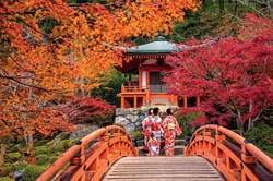 (Vignette)-vignette-Japon-Kyoto-femmes-portant-le-yukata-au-temple-bouddhiste-Daigo-ji-as_372425858