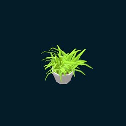 Plante